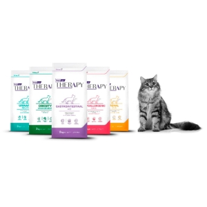Therapy Gato de 2Kg
